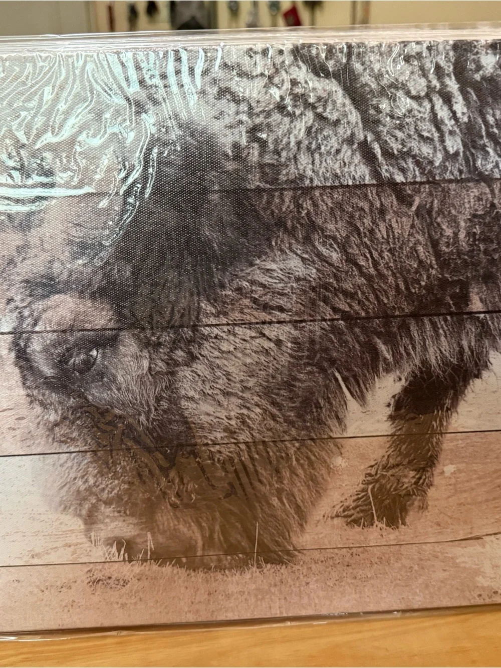 KLVOS 3 pcs Rustic Bison Wall Art - Neutral Tones